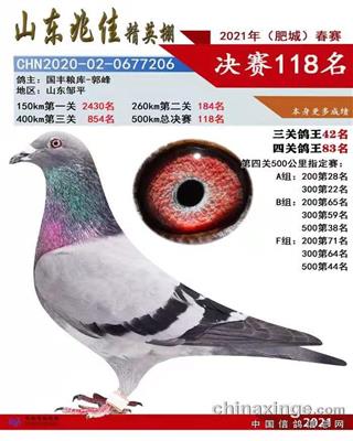 2021年春山东齐鲁兆佳公棚决赛118名