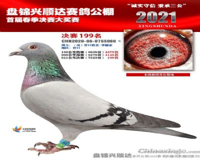 兴顺达春棚199位