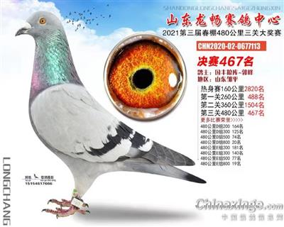 2021年春山东龙畅公棚决赛467名