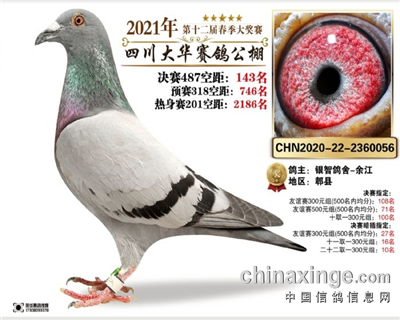 “新基特尔”635直子