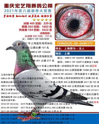 骠马5177
