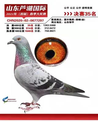 2021年春山东芦湖国际公棚决赛35名
