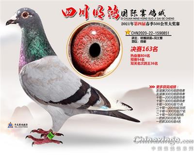 所向无敌/杨.欧瓦克/飞戈