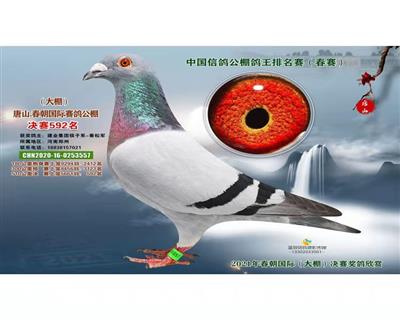 唐山大春潮决赛592名
