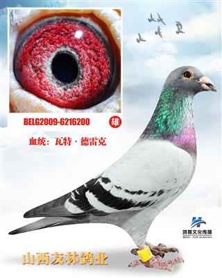瓦特.德雷克