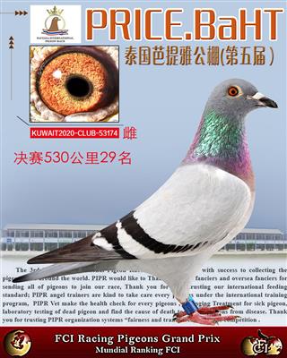 泰国芭提雅决赛29名