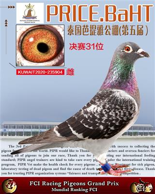 泰国芭提雅决赛31名