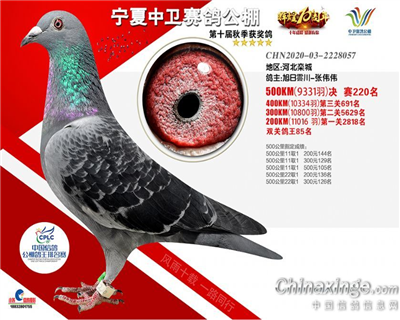 中卫公棚决赛220名