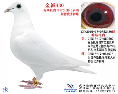 金诚430