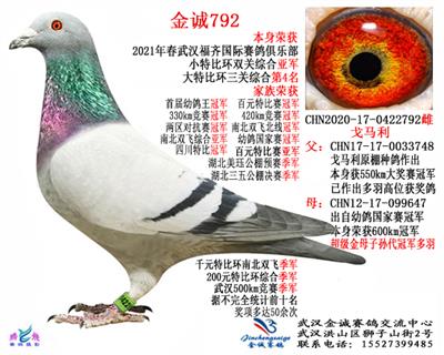 金诚792