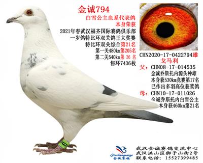 金诚794