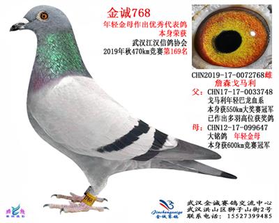 金诚768