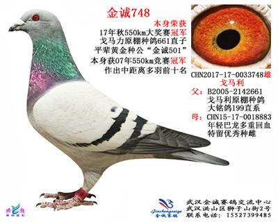 金诚748
