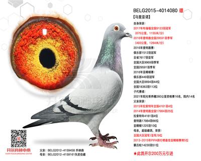 【马里亚诺】布瑞福全国冠军