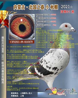 骠马5679