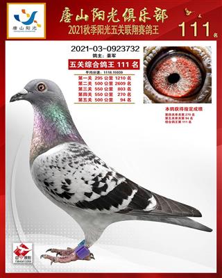 2021年秋阳光五关联翔