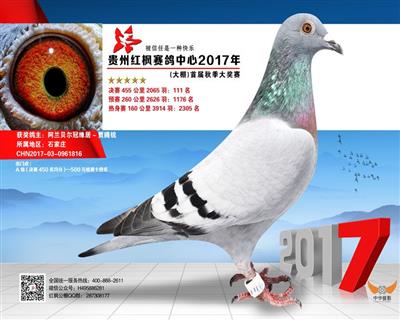 红枫公棚决赛111名