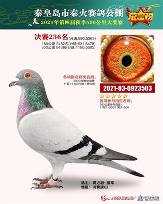 2021年公棚成绩鸽