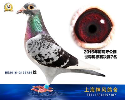 决赛7名
