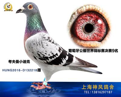 决赛9名