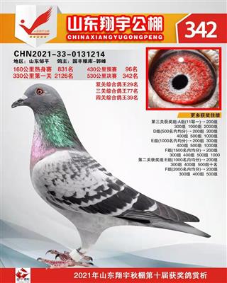 2021年秋山东翔宇公棚决赛342名