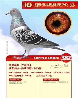 【红枫深眼雌】