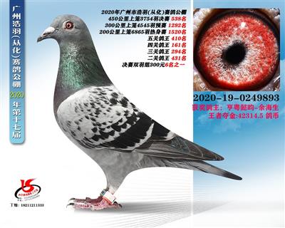 【浩羽从化538】