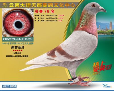 云南大理天都决赛78位