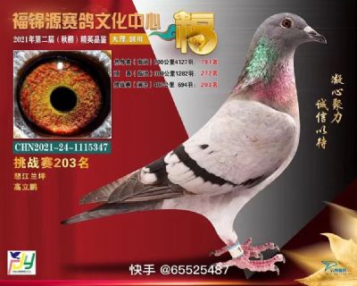 福锦源公棚挑战赛203位