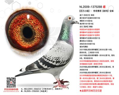 【百万小姐】：传奇赛将【哈利】全妹