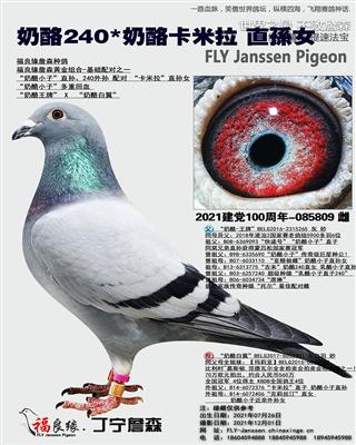 奶酪240配奶酪098