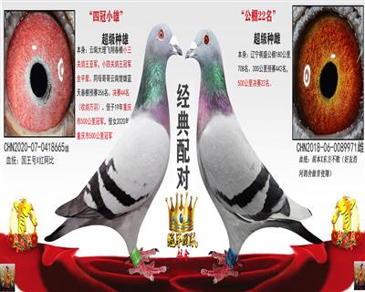 天南铜都94名外祖父、外祖母