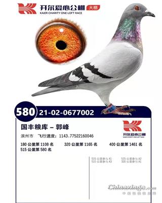 2021年秋唐山开尔大棚公棚决赛580名