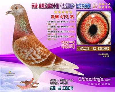 西草穆勒/“好红号”