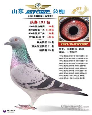 2021年秋山东应天盛世公棚决赛131名