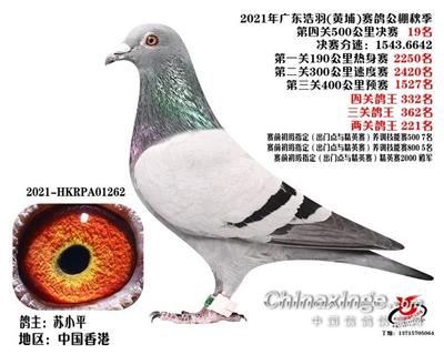 廣州浩羽500公里決賽19名