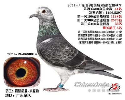 廣州浩羽公棚500公裏總決賽44名
