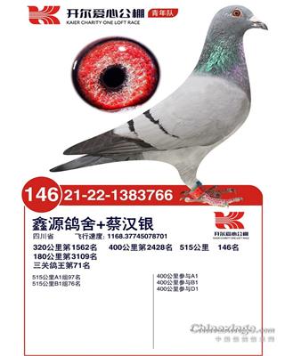 新生代，供欣赏，不出售