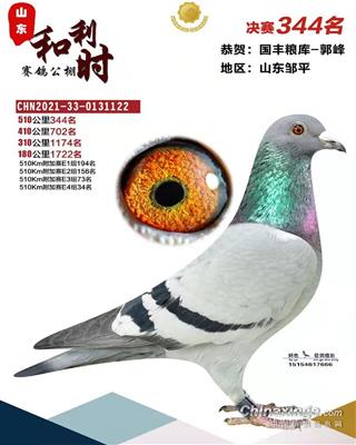 2021年秋山东和利时公棚决赛344名