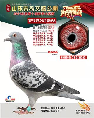 2021年青岛文盛公棚决赛905名