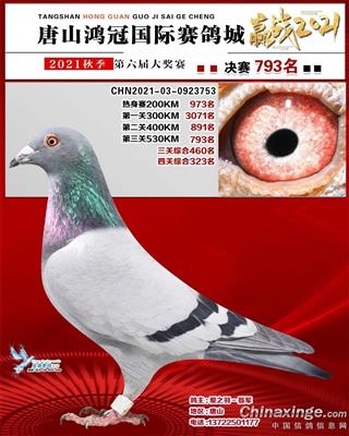 2021年公棚成绩鸽