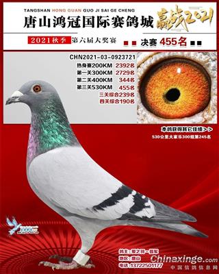 2021年公棚成绩鸽