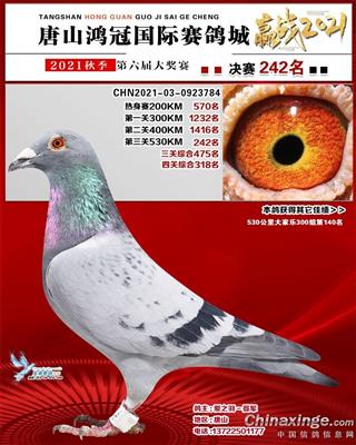 2021年公棚成绩鸽