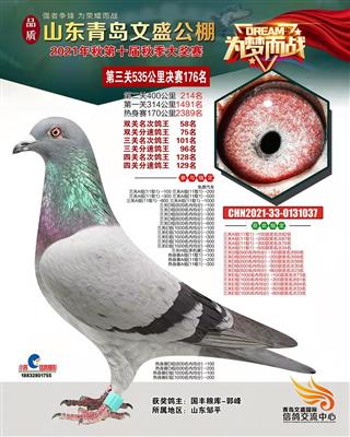 2021年秋山东青岛文盛公棚决赛176名
