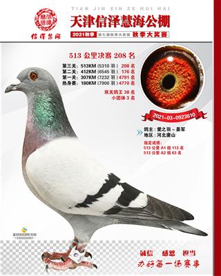 2021年公棚成绩鸽