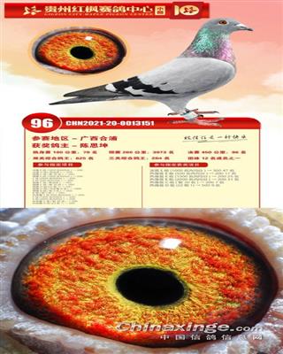 2021紅楓小棚十屆450公裏決賽96名