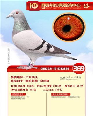 【红枫369名】恭喜拍中鸽友！！！！