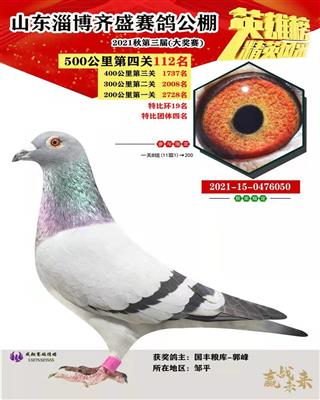 2021年秋山东齐盛赛鸽公棚决赛112名