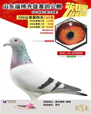 2021年秋山东齐盛赛鸽公棚决赛143名