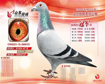 舜峰650公里冠军